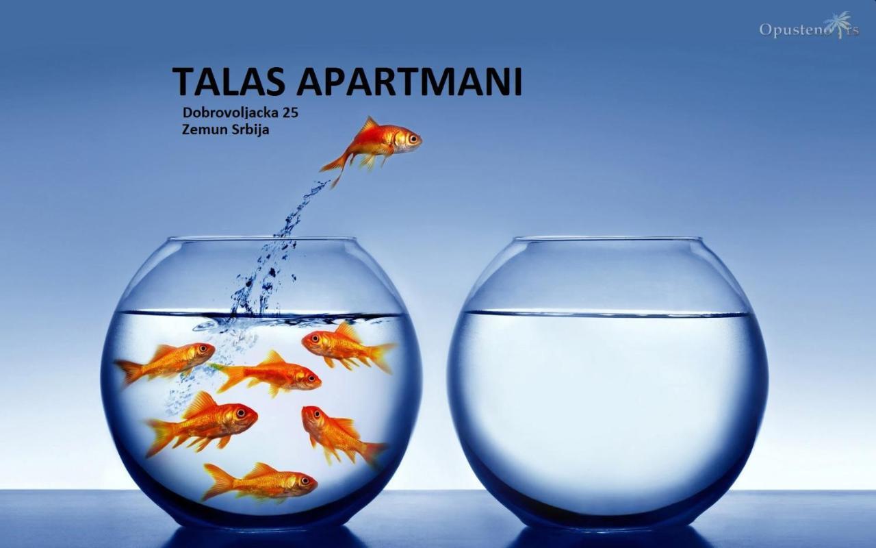 Talas Apartmani Beograd Eksteriør billede